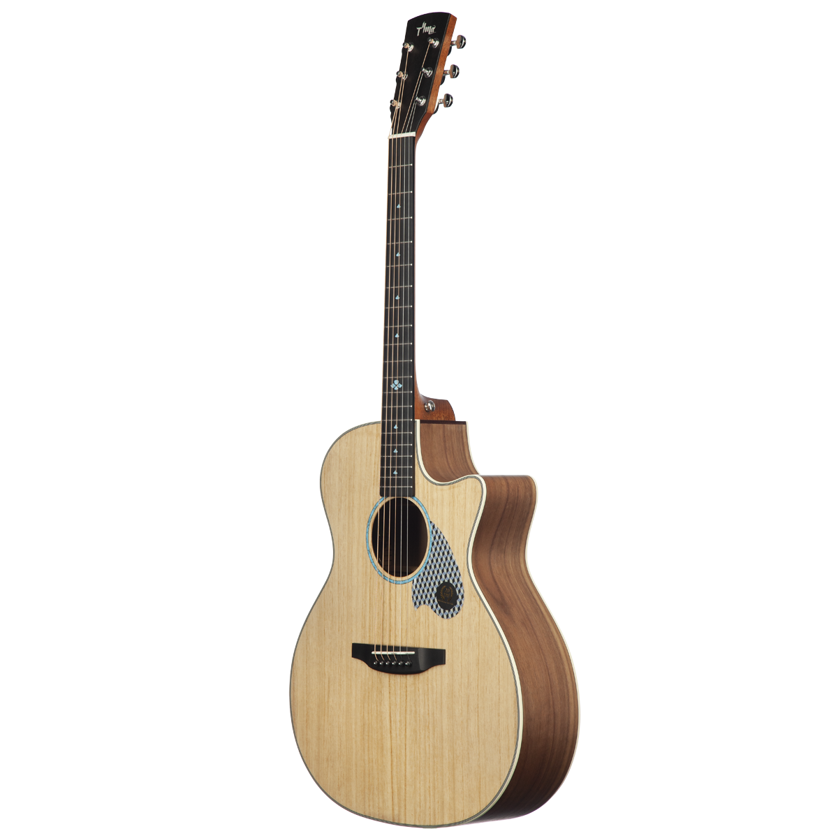 TYMA TG-5P