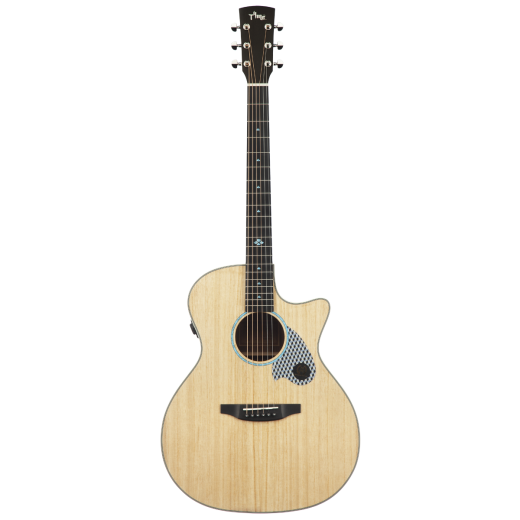 TYMA TG-5TE (P)